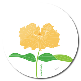 Cattleya trianei