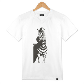 zebra linear design