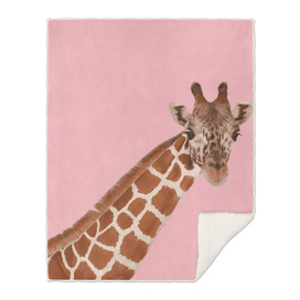 Giraffe Series 4