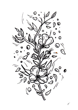 Sketch 23 - Flower