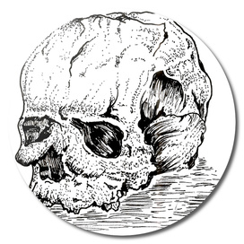 Sketch 41 - Skull