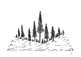 Sketch 54 - Mountain View
