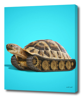 Tortoise Tank