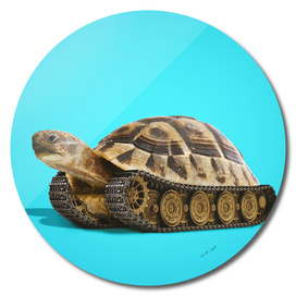 Tortoise Tank