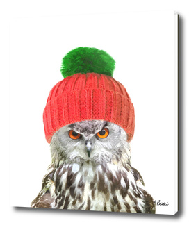Owl in Winter