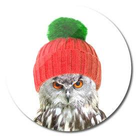 Owl in Winter