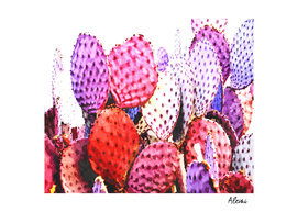 Purple Cactus Illustration
