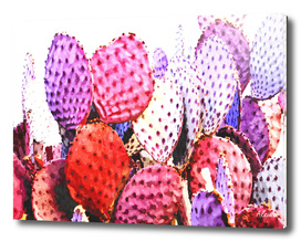 Purple Cactus Illustration