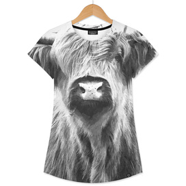 Black and White Highland Cow
