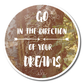 Go in the Direction of Your Dreams
