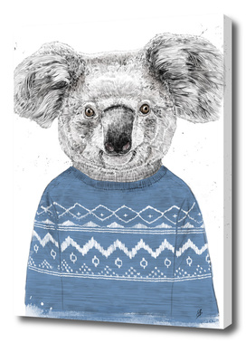 Winter koala