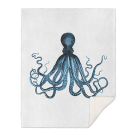 Blue Octopus Illustration