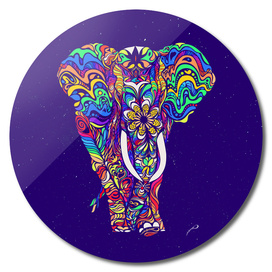 Not a circus elephant #Violet by #Bizzartino