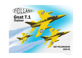 RAF Yellowjacks - 1963-65