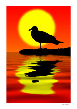 Bird At Sunset