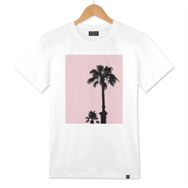 Palm Trees On Pink