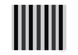 Black and Grey Stripe