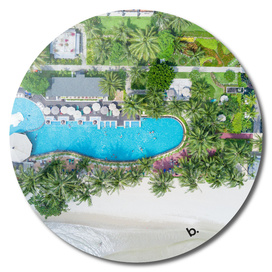 Tropical Landscape. The Sea, Palms And Pool. Aerial View.