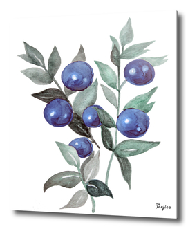 winter berries blue