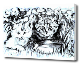 Baby Cats In Blue And White