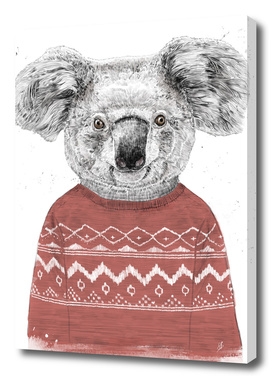 Winter koala (red)