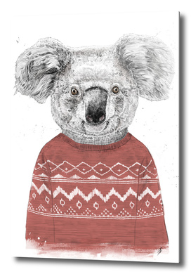 Winter koala (red)