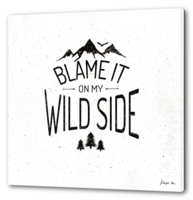 Blame It On My Wild Side