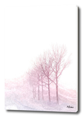 Pink Winter Trees