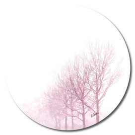 Pink Winter Trees
