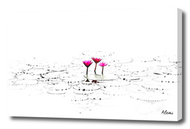 Lotus Flower Illustration