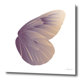Geometric Butterfly Wing