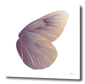 Geometric Butterfly Wing