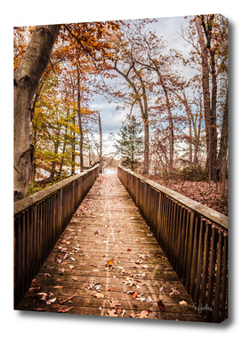 Path to the Water in Fall