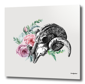 Skull & Flowers