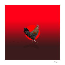 Polygonal Rooster leghorn cock