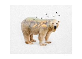 Wild I Shall Stay | Polar Bear