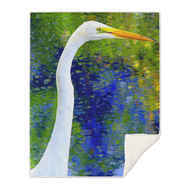 American White Egret