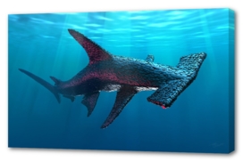 Artificial life 1.0 Oceans -  Hammerhead Shark