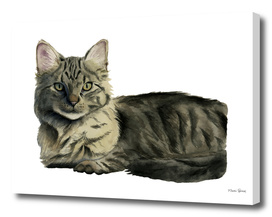 Domestic Medium Hair Cat Watercolor Painting