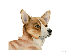Welsh Corgi Dog Painting
