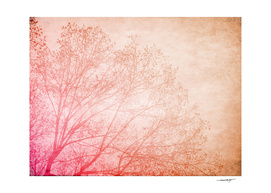 Pink, Brown and the Tree