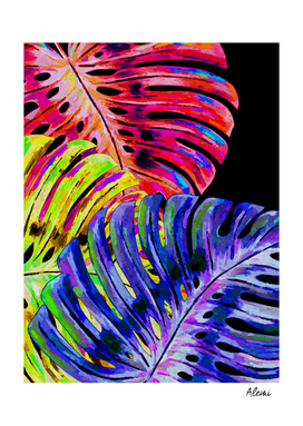 Colorful Monstera Black Background