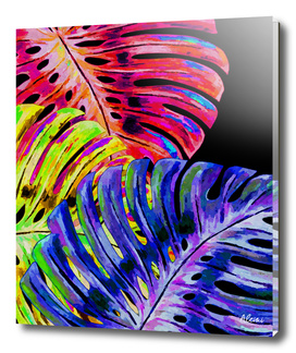 Colorful Monstera Black Background