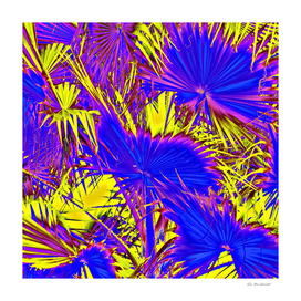 palm leaf texture abstract in blue and yellow