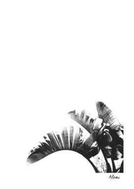 Black and White Palm Leaves