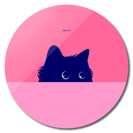 Cat on Deep Pink