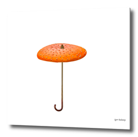 Mushroom - umbrella