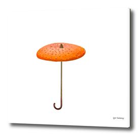 Mushroom - umbrella