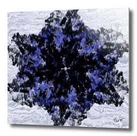Polygon (Blue series #2)
