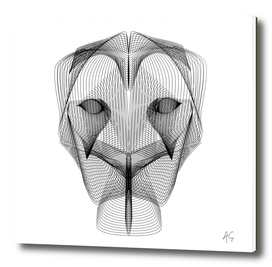 Abstract Minimal Lioness